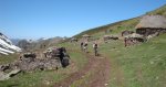 resized_DSC01015.jpg