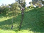 Trencadur 2009 027.jpg