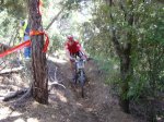 Trencadur 2009 048.jpg