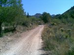 Image00001.jpg