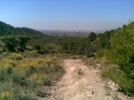Image00002.jpg