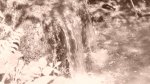 DSC02067.jpg