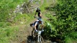 DSC02186.jpg
