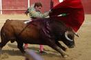 torero.jpg