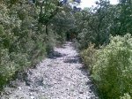 02052009(011).jpg