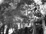 DSC07899.JPG