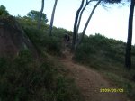 SL270746.JPG