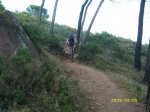 SL270752.JPG