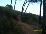 SL270754.JPG