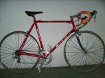 BILD0551.jpg