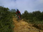 DSC02276.JPG