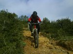 DSC02278.JPG