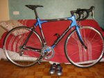 Bike5.jpg