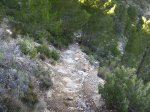 Imagen 050.jpg