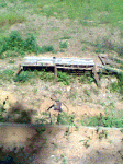 Fotos Crlos Judith y Cristian 048.gif