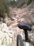 IMAG0932.jpg