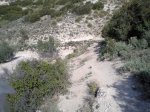 Foto0126.jpg