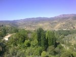 06052009081.jpg