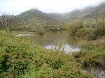 DSC00826.JPG