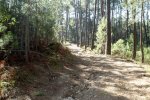 DSC03200.jpg
