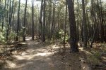 DSC03201.jpg