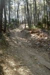 DSC03203.jpg