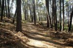 DSC03204.jpg