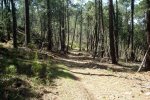 DSC03205.jpg
