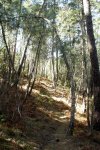 DSC03207.jpg