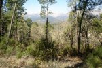 DSC03208.jpg
