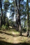 DSC03209.jpg
