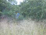 Imagen 034.jpg