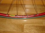 pinarello 025.jpg