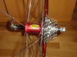 pinarello 023.jpg
