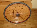 pinarello 024.jpg