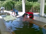 07052009.jpg