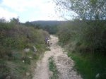 Foto14.JPG