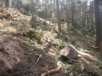 Foto22.JPG