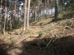 Foto24.JPG