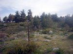 Foto31.JPG