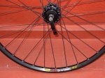 fotos bici 132.jpg