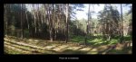 Panorama 25_1024x472.JPG