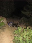IMG_3648mini.jpg