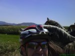 DSC01764.jpg