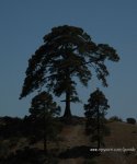 DSC_3464.jpg