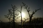 DSC_3492.jpg