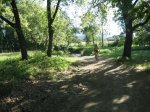 IMG_3720.jpg