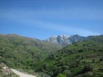 IMG_3721.jpg