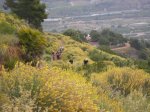salida 09-05-09 013 [Resolucion de Escritorio].jpg
