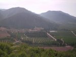 PICT0001.jpg